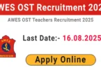 AWES APS Teacher Recruitment 2025